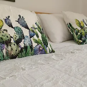 Ficodindia Guest house